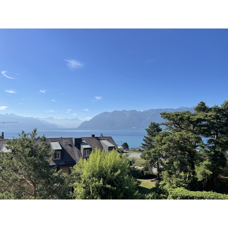 Magnifique appartement de 5 pièces avec vue sur le Lac et les Alpes à louer à Cully