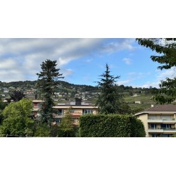 Magnifique appartement de 5 pièces avec vue sur le Lac et les Alpes...