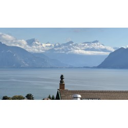 Magnifique appartement de 5 pièces avec vue sur le Lac et les Alpes à louer à Cully