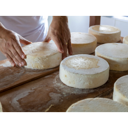 Fond de commerce à vendre - Fromagerie Artisanale - Exclusif en Suisse Romande !