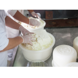 Fond de commerce à vendre - Fromagerie Artisanale - Exclusif en Suisse Romande !